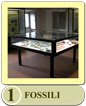 Sala Fossili